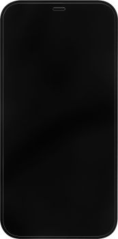Защитное стекло для  iPhone 12 Pro Max